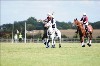 UKPA NC SAT_2585
